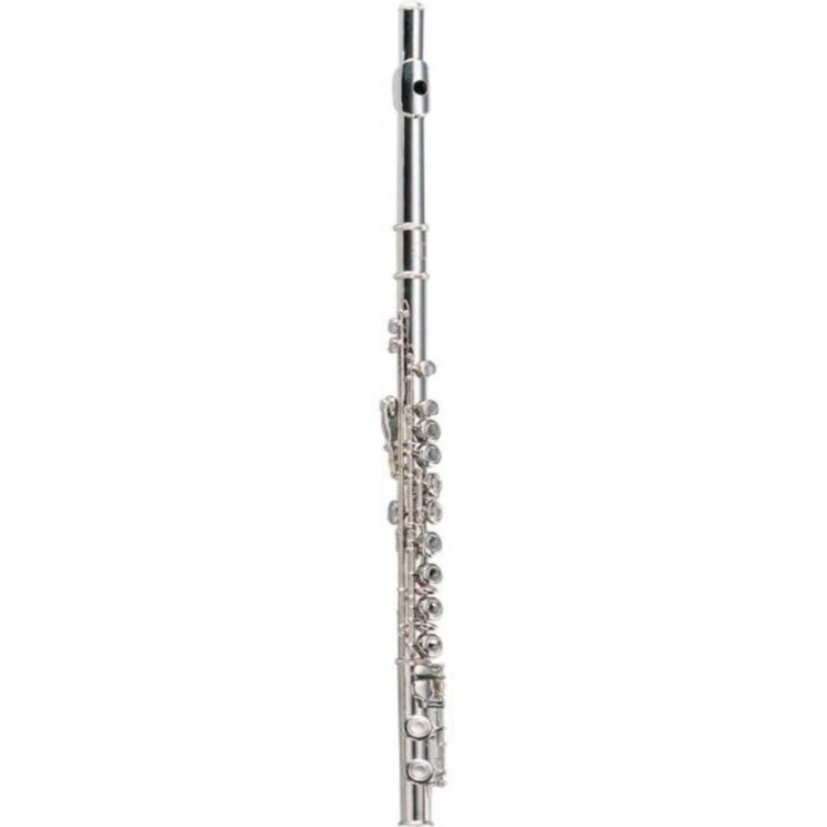 Флейта Maxtone TFC60N (TFC44N)