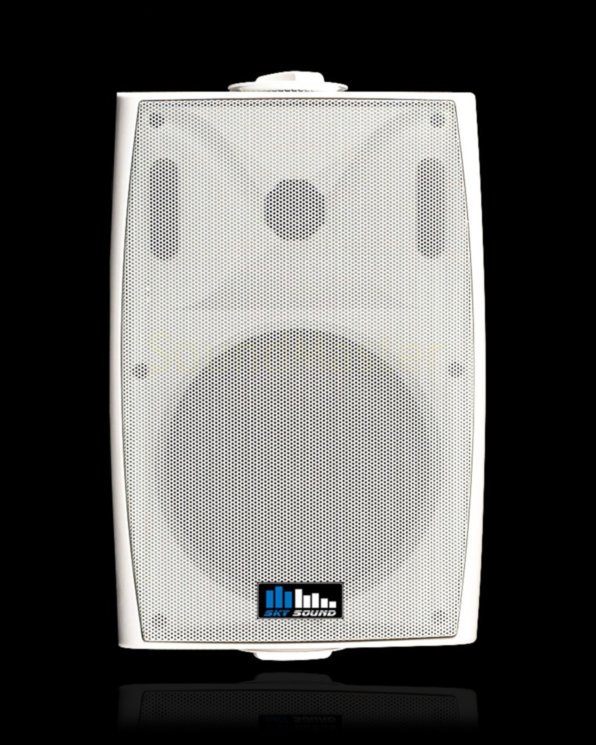 Настенная акустика Sky Sound NS-30TW