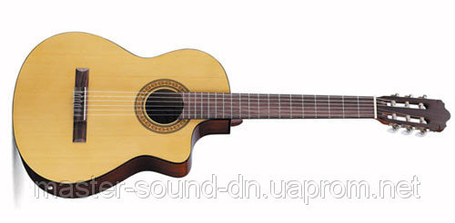 Акустическая гитара Walden N350CE/G