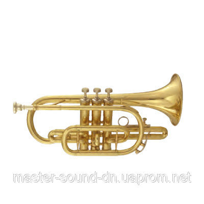Корнет Maxtone TCC53L