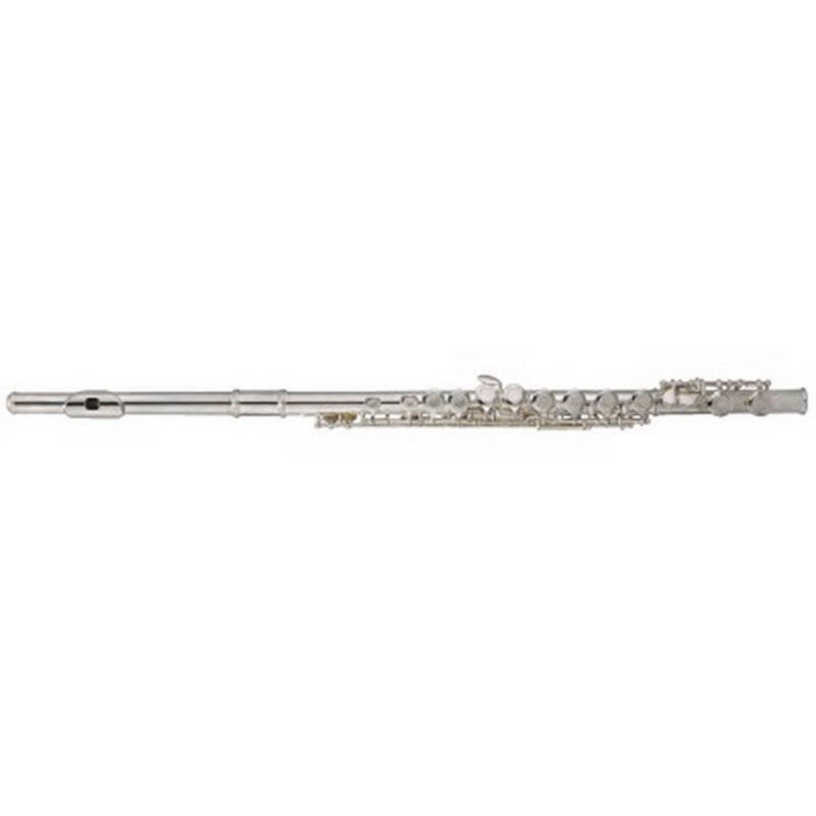 Флейта Maxtone TFC53N/1