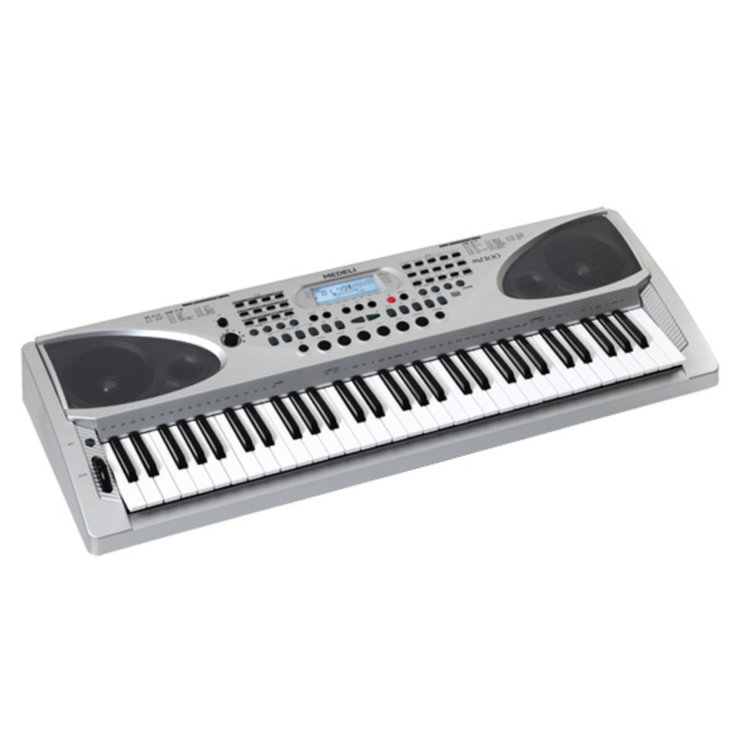 Синтезатор Medeli MD-100