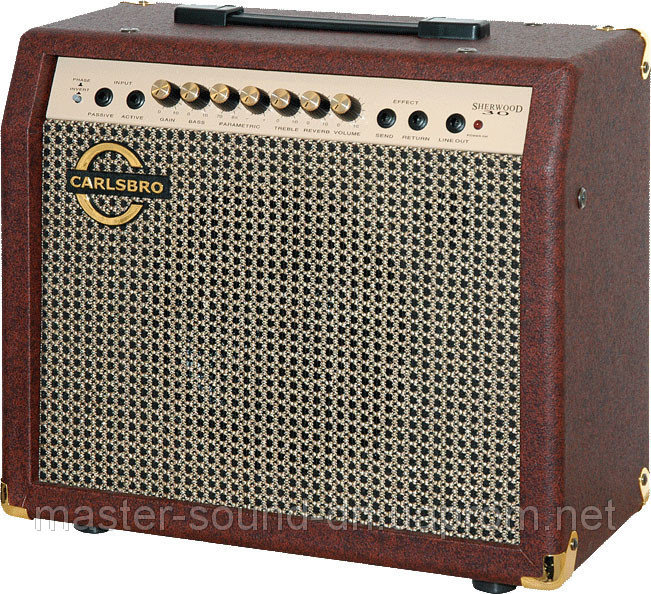 Комбоусилитель Carlsbro Sherwood  30 R