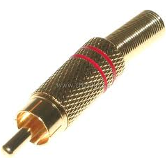 Тюльпан RCA