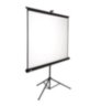 Мобильный экран AV Screen 3V070MTS 178 x 178см