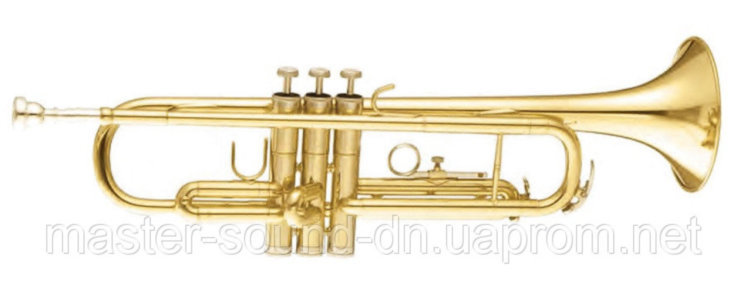 Труба Maxtone TTC30L (TTC1C)