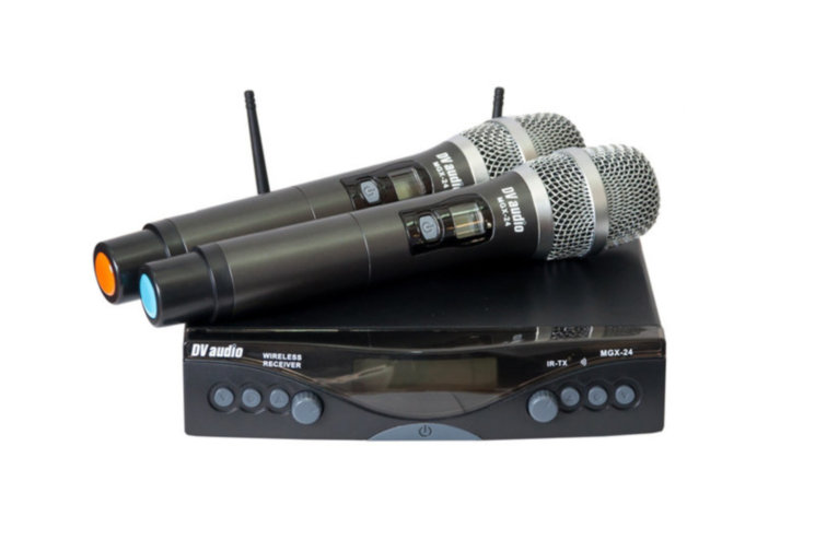 Радиосистема DV audio MGX-24 Dual сдвоенная
